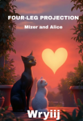 Обложка книги "Мизер"