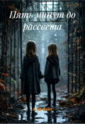 Обложка книги "Пять минут до рассвета"