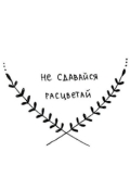 Обложка книги "Шесть жизней"