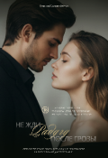 Обложка книги "Не жди радугу после грозы"