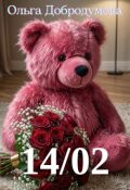 Обложка книги "14/02"