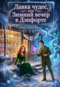 Обложка книги "Лавка чудес, или Зимний вечер в Дэнфорте"