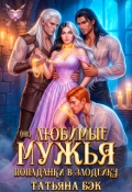 Обложка книги "(не)любимые мужья попаданки в злодейку"