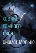 Обложка книги "Хозяин темного леса "