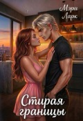 Обложка книги "Стирая границы"