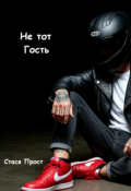 Обложка книги "Не тот Гость"