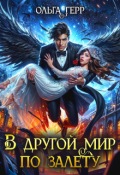 Обложка книги "В другой мир по залету"