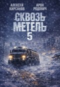Обложка книги "Сквозь метель 5"