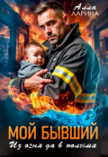 Обложка книги "Мой бывший. Из огня да в полымя"