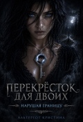 Обложка книги "Перекресток для двоих. Нарушая границу"