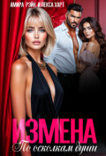 Обложка книги "Измена. По осколкам души"
