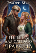 Обложка книги "Пышка для слепого дракона"
