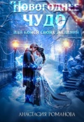 Обложка книги "Новогоднее чудо или бойся своих желаний"