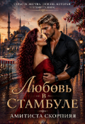 Обложка книги "Любовь в Стамбуле"