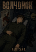 Обложка книги "Волчонок "