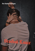Обложка книги "Особый Класс "