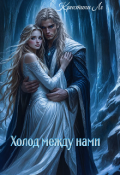 Обложка книги "Холод между нами"