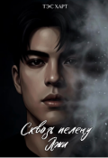 Обложка книги "Сквозь пелену лжи"