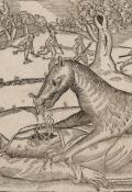 Обложка книги "Оборотни и цари"
