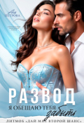 Обложка книги "Развод. Я обещаю тебя забыть"