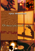 Обложка книги "Огнеопасный дуэт"