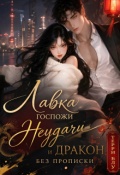 Обложка книги "Лавка госпожи Неудачи и дракон без прописки"