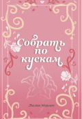 Обложка книги "Собрать по кускам"