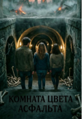 Обложка книги "Комната цвета асфальта "