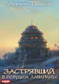 Обложка книги "Застрявший. Книга 4. Застрявший в Ревущем лабиринте"