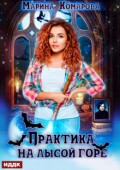 Обложка книги "Практика на Лысой горе"
