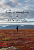 Обложка книги "Добро пожаловать в Живитикульск"