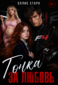 Обложка книги "Гонка за любовь"