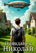 Обложка книги "Попаданец Николай"