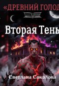 Обложка книги "Вторая Тень."