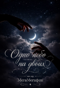 Обложка книги ""Одно небо на двоих""
