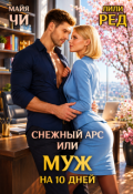 Обложка книги "Снежный Арс, или Муж на 10 дней"
