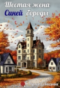 Обложка книги "Шестая жена Синей бороды"