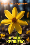 Обложка книги "Нежное крошево"