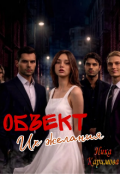 Обложка книги "Объект их желания. "