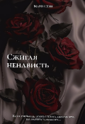 Обложка книги "Сжигая ненависть"