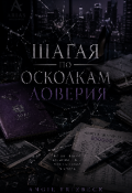 Обложка книги "Шагая по осколкам доверия"