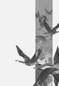 Обложка книги "Проведение ненависти "