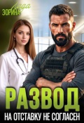 Обложка книги "Развод. На отставку не согласен"