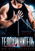 Обложка книги "Телохранитель. Мы под запретом"