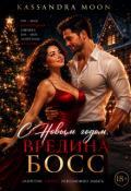 Обложка книги "С Новым годом Вредина Босс"