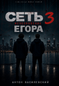 Обложка книги "Сеть 3: исчезновение егора"