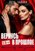 Обложка книги "Вернусь в прошлое. Переживу всё заново нормально"
