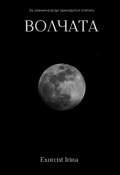 Обложка книги "Волчата"