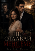 Обложка книги "Не отдавай меня ему"