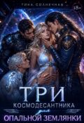 Обложка книги "Три космодесантника для опальной землянки"